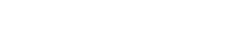 Wiser softwaer solution logo white-01